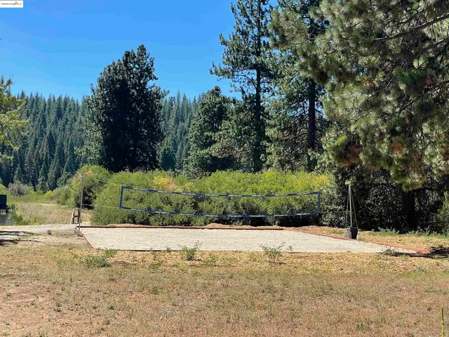 a view of yard with green space