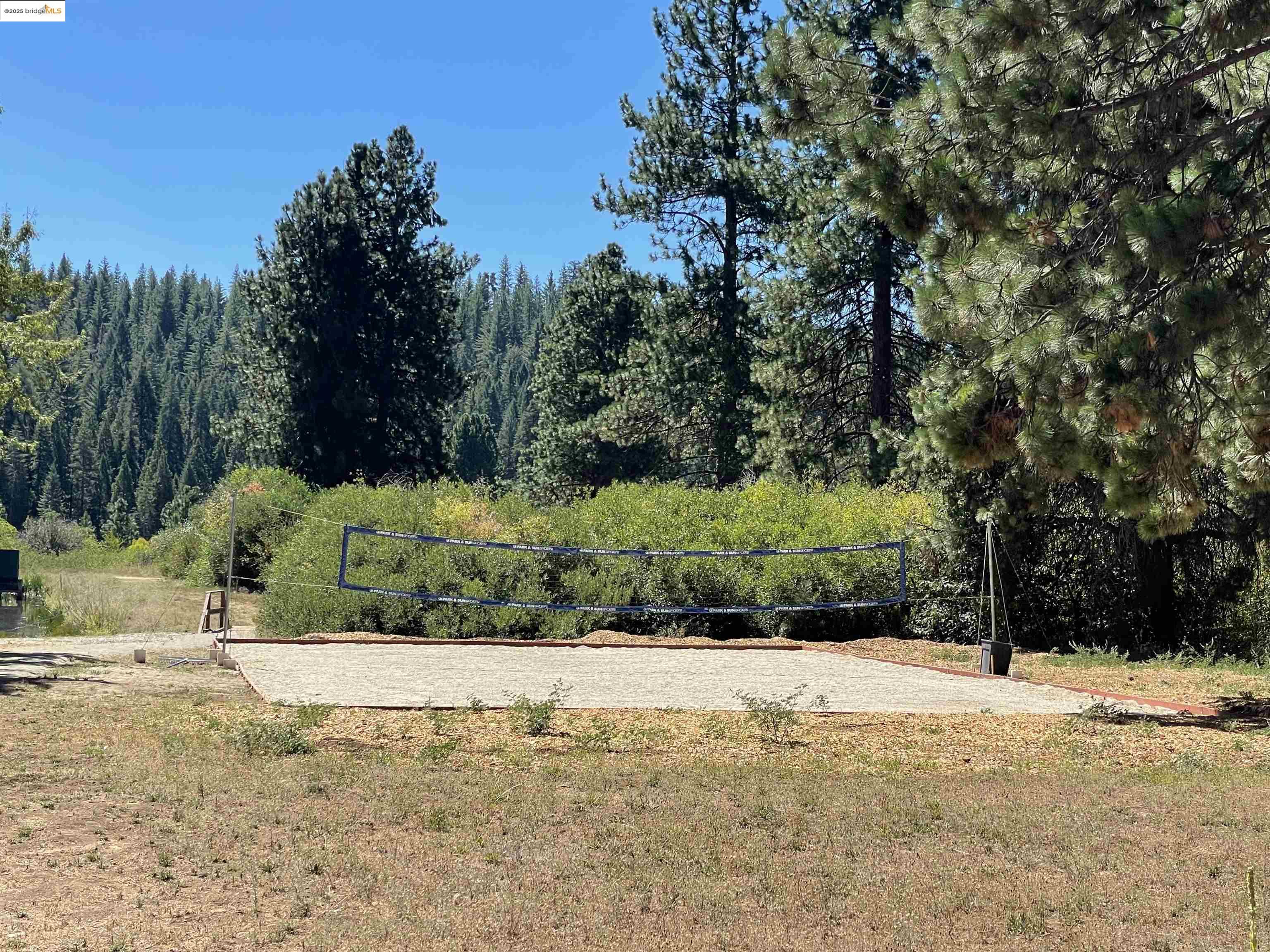 25476 Rebekah Road Long Barn, CA 95335 - Photo 8 of 11 a view of yard with green space