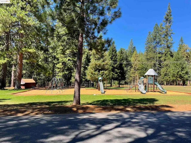 a view of a yard with plants