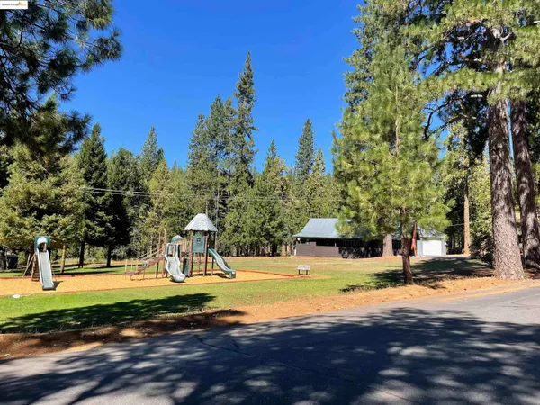a view of a yard with palm trees