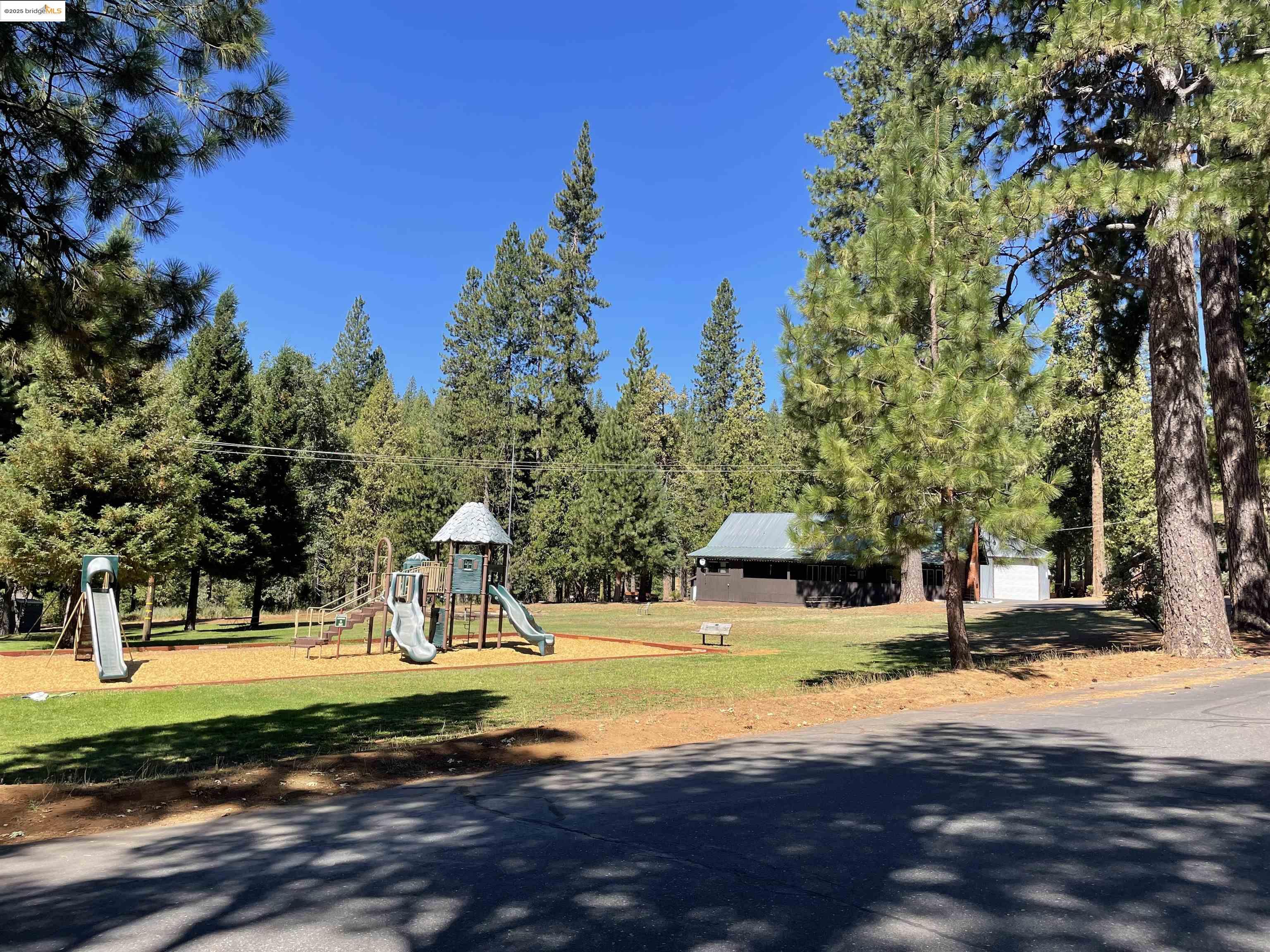 25476 Rebekah Road Long Barn, CA 95335 - Photo 10 of 11 a view of a yard with palm trees