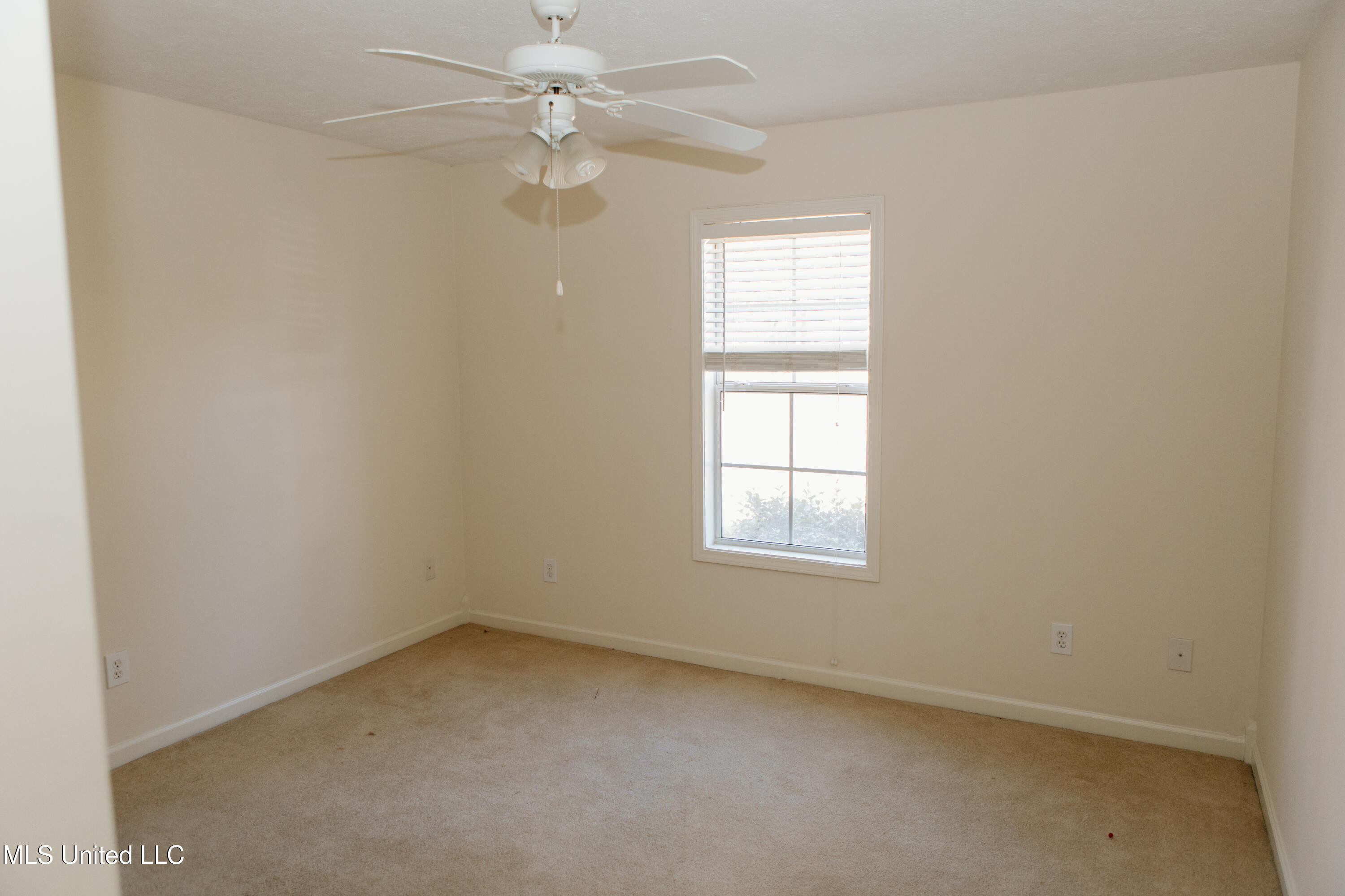 311 Longleaf Drive Flowood, MS 39232 - Photo 17 of 21 forthewild.bysammy-22
