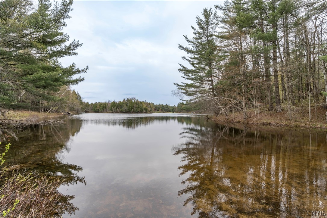 7938 Deer Run Road Brantingham, NY 13312 - Photo 9 of 44
