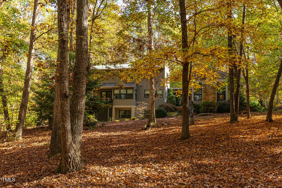 3604 Pasture Road Hillsborough, NC 27278 - Photo 36 of 44 In fall, a riot of colors fill the field of vision.