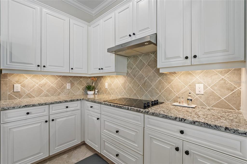 20655 Valprato Court Venice, FL 34293 - Photo 13 of 58