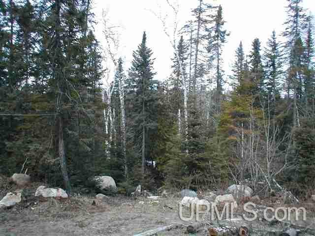 Tbd Off Craig Lake Road Michigamme, MI 49861 - Photo 7 of 23