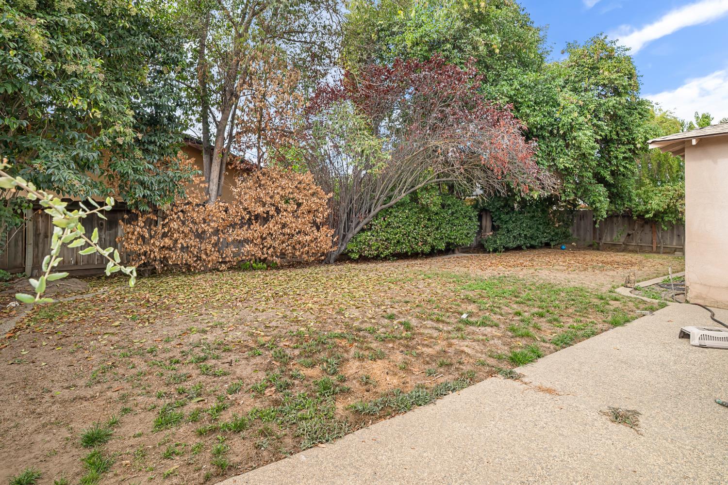 3141 Lisa Drive Modesto, CA 95350 - Photo 26 of 29 a view of a yard with an tree