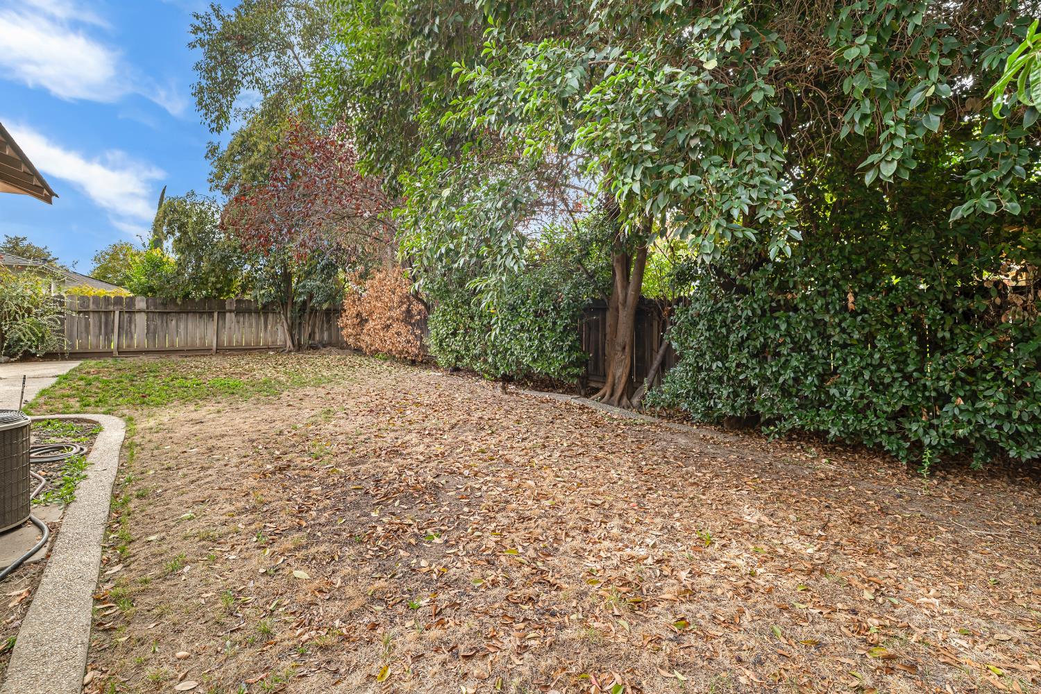 3141 Lisa Drive Modesto, CA 95350 - Photo 28 of 29 a view of a backyard with large trees