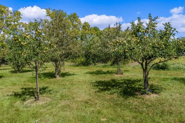 $899,000 | 14949 Saunders Road, Pecatonica, IL 61063
