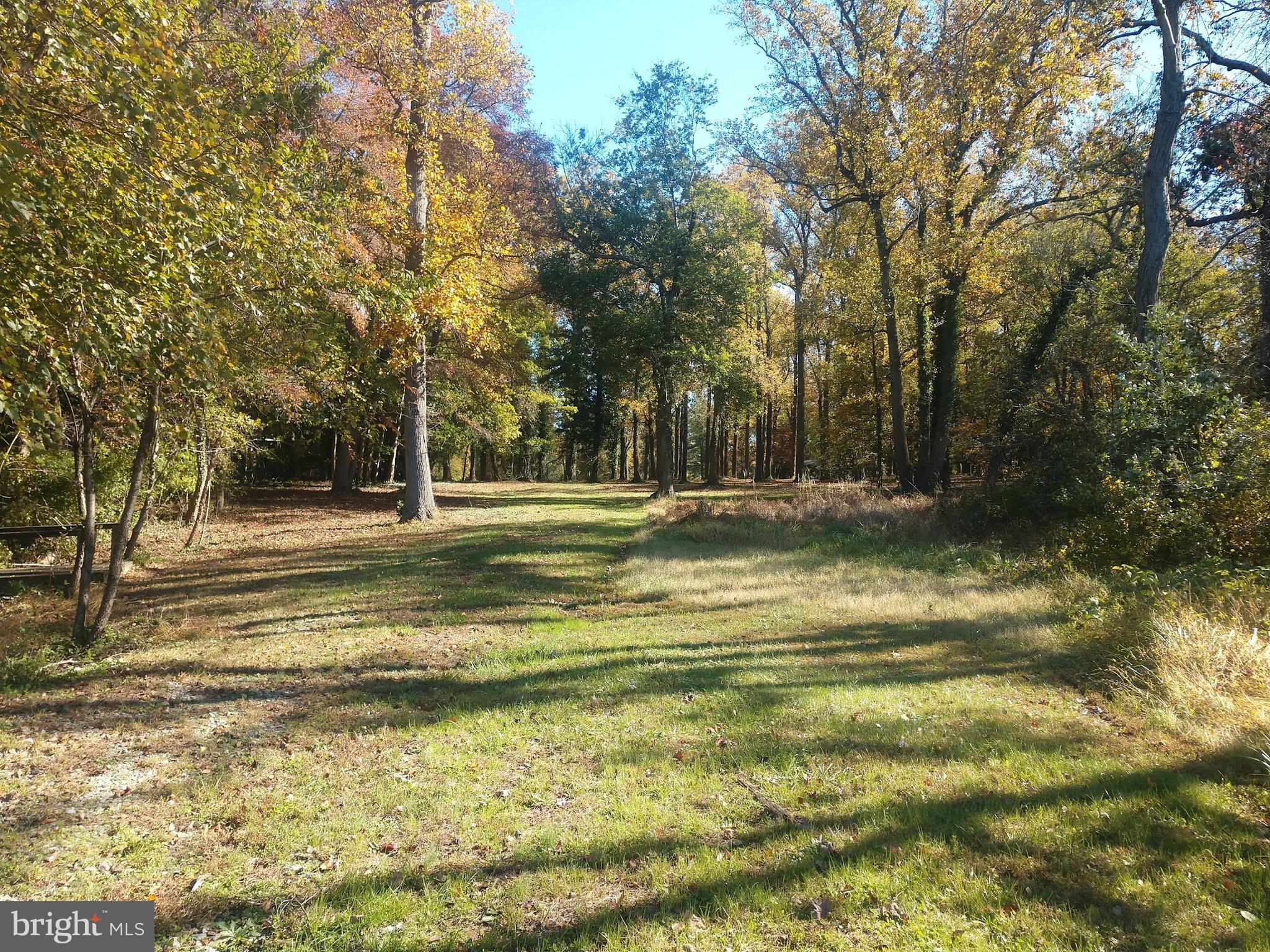 575 Hance Point Road North East, MD 21901 - Photo 11 of 35 Gallery Image 11