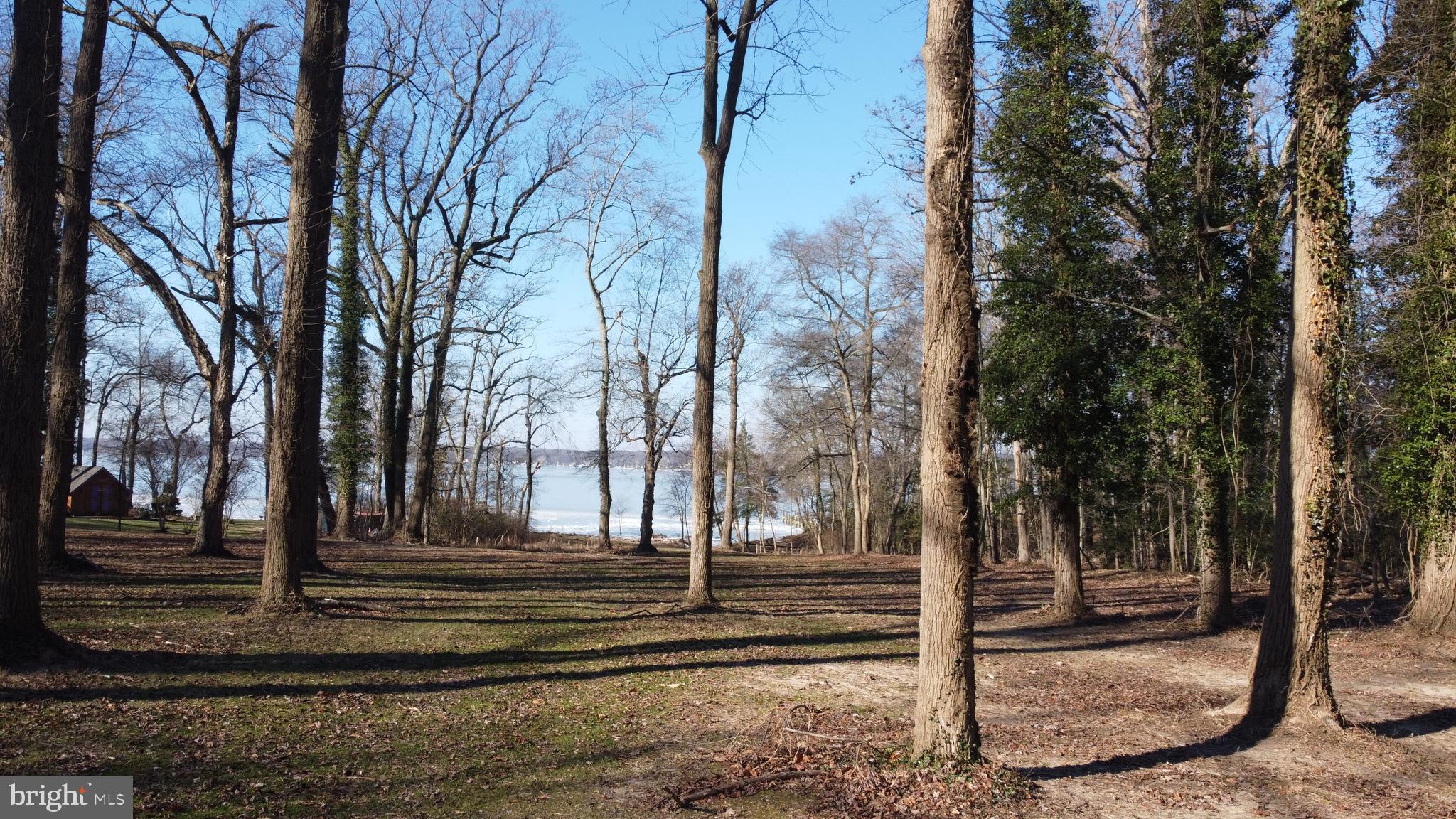 575 Hance Point Road North East, MD 21901 - Photo 33 of 35 Gallery Image 33