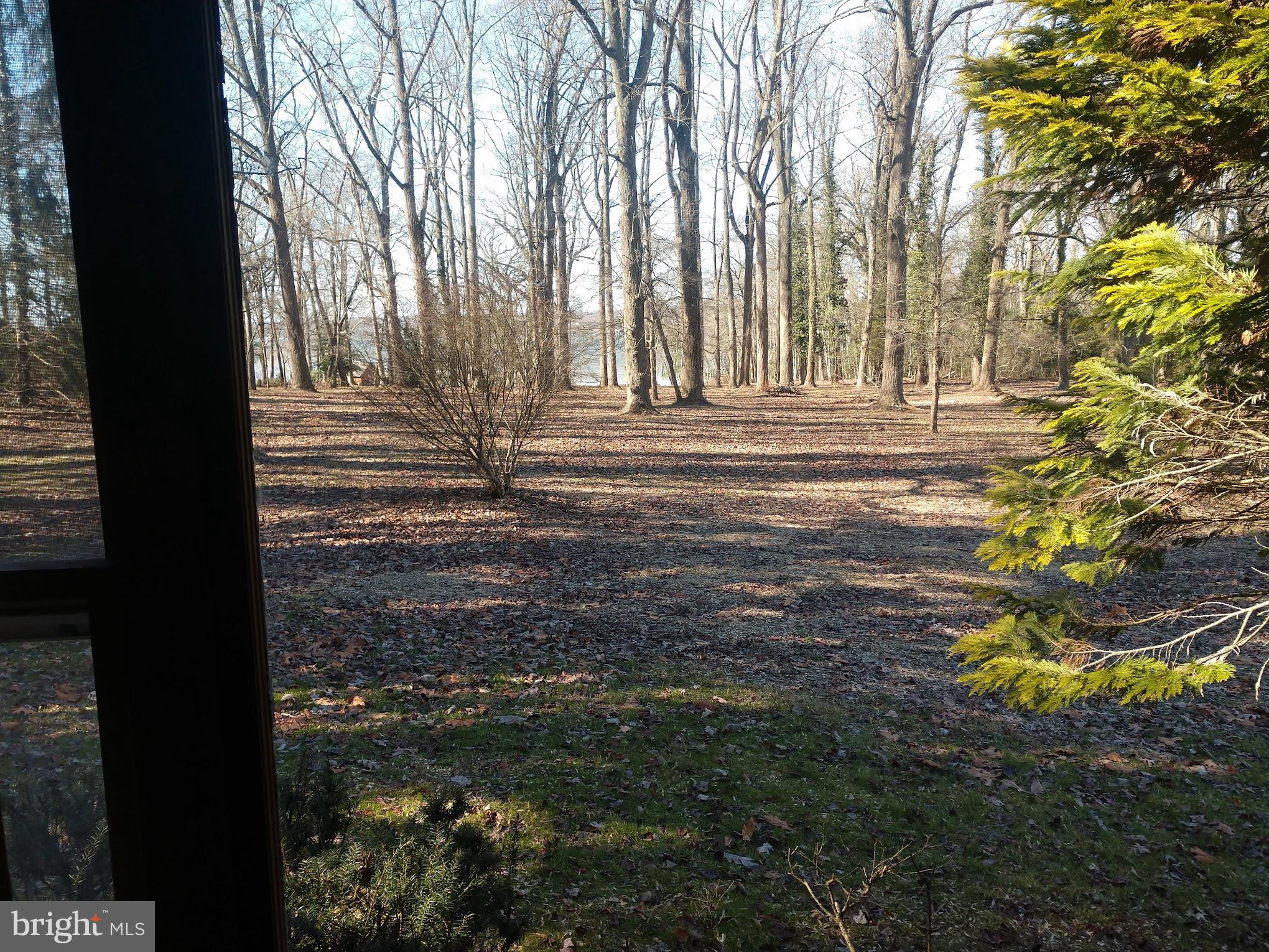 575 Hance Point Road North East, MD 21901 - Photo 6 of 35 View from Living Room
