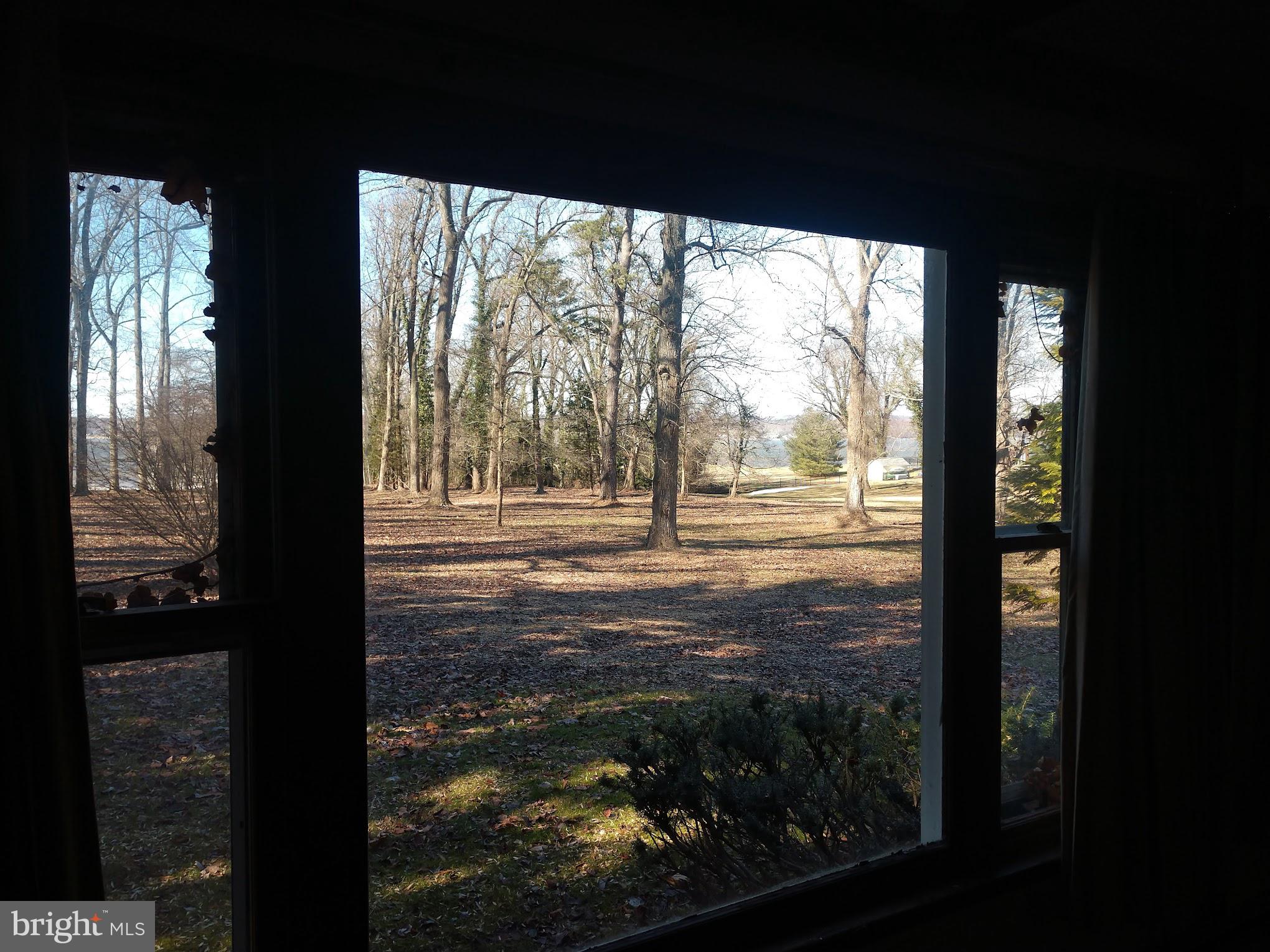 575 Hance Point Road North East, MD 21901 - Photo 7 of 35 View from Living Room