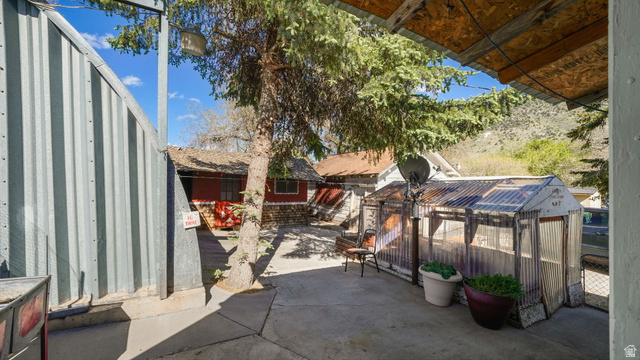 44 Shriver Street Eureka, UT 84628 - Photo 30 of 43 Outdoor concrete patio area featuring a corrugated metal fence, a mature evergreen tree, and a built greenhouse structure with a clear corrugated roof
