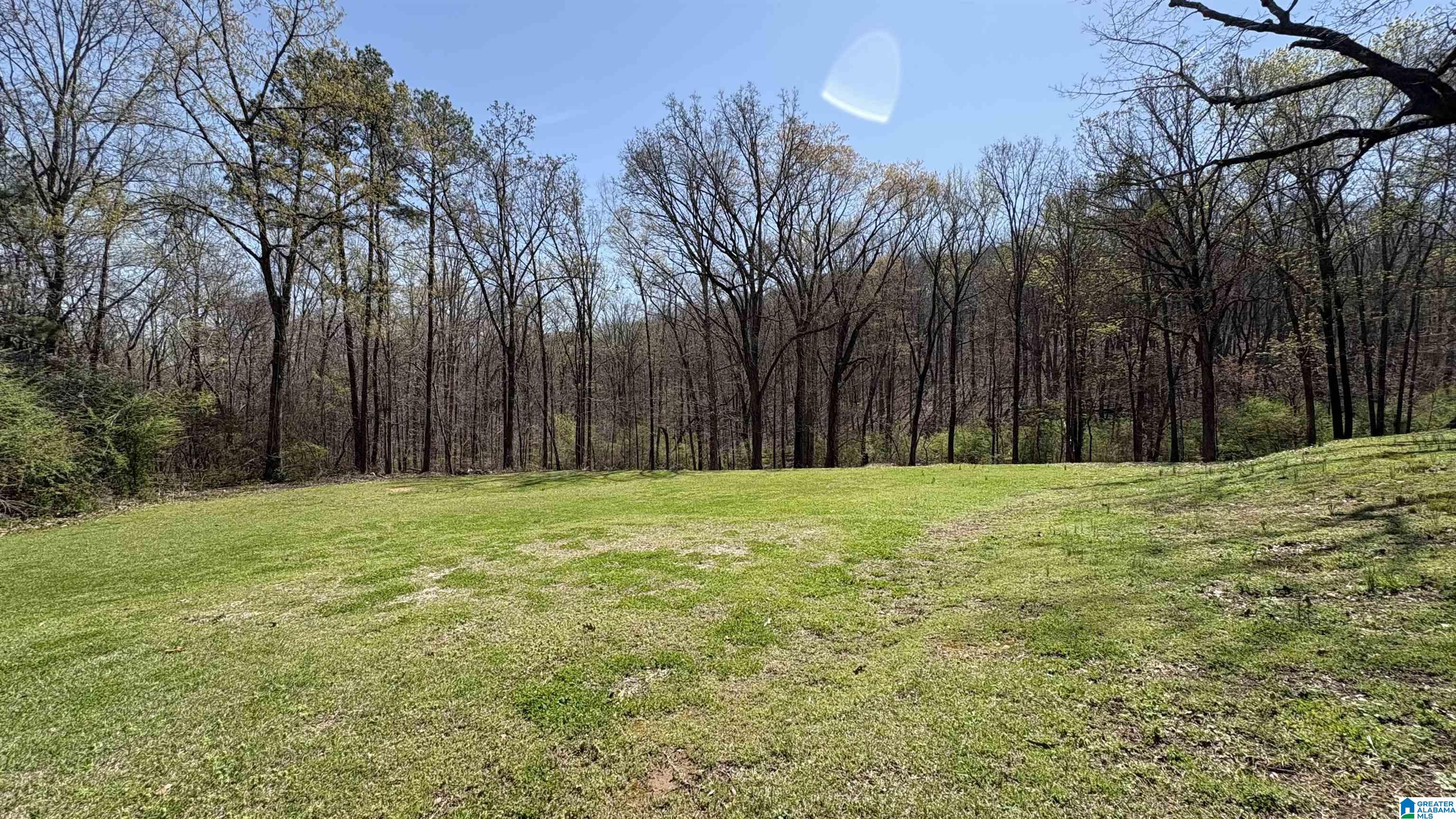 90 Fulton Gap Road Sylacauga, AL 35150 - Photo 20 of 23 Gallery Image 20