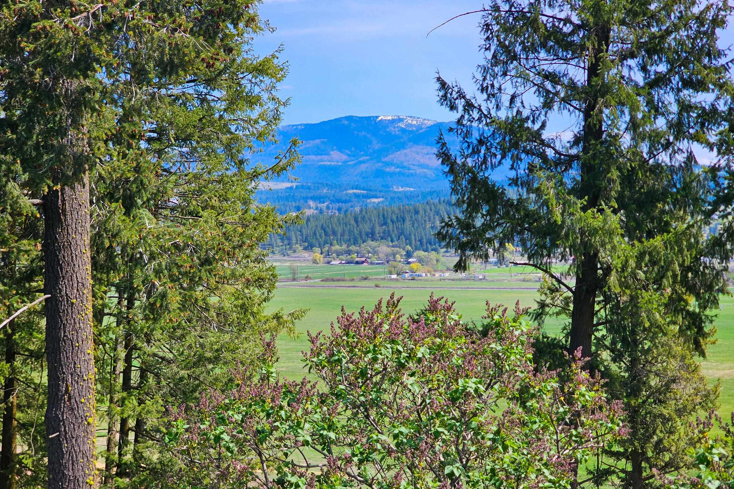 842 E Valley-Westside Road Colville, WA 99114 - Photo 39 of 50