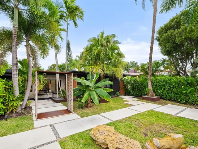 a view of backyard with potted plants and palm trees
