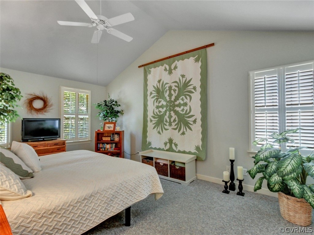 5509 Chestnut Bluff Road Midlothian, VA 23112 - Photo 25 of 35 Gallery Image 25