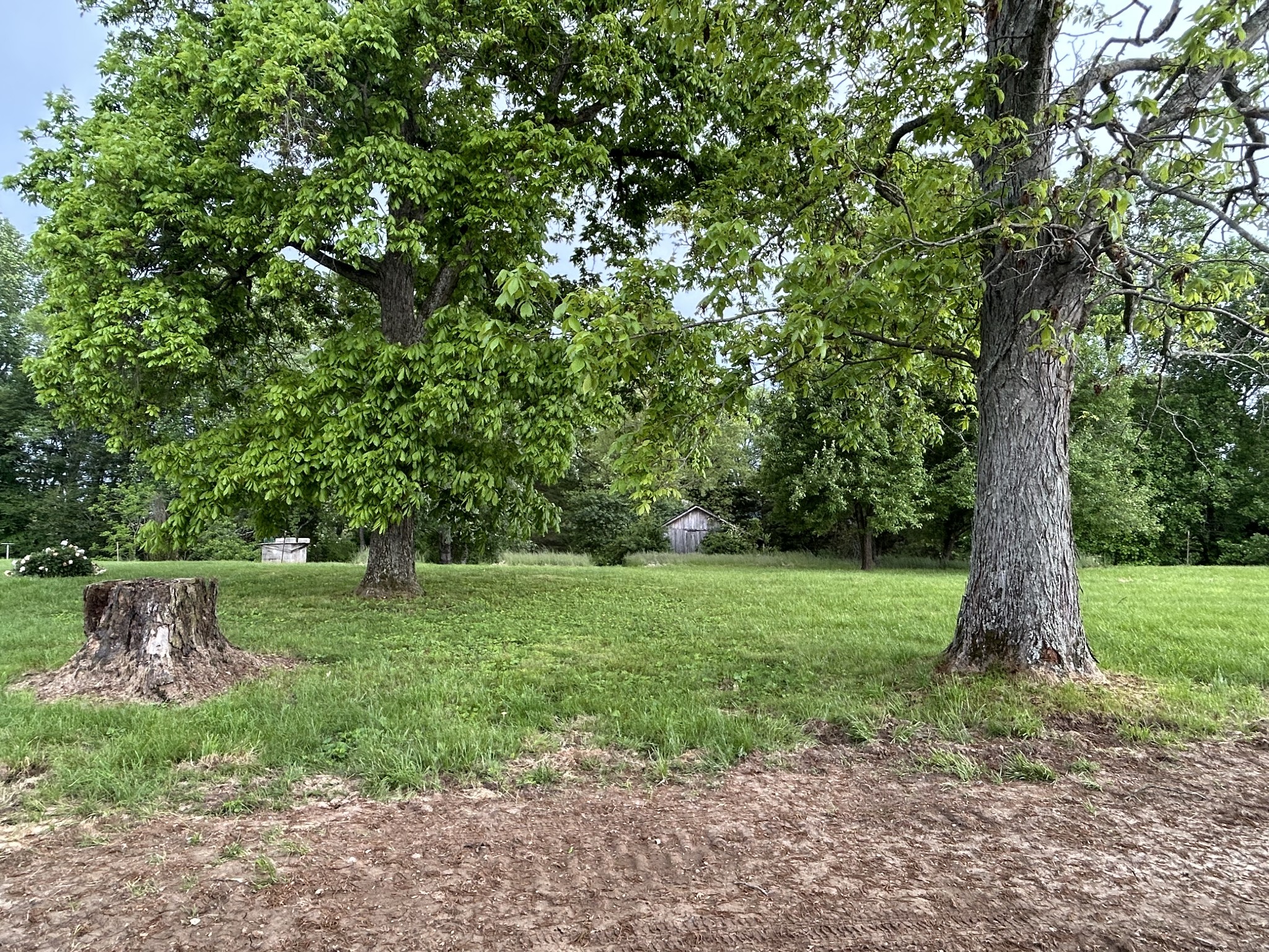577 Walton Chapel Road Lafayette, TN 37083 - Photo 7 of 25 Gallery Image 7