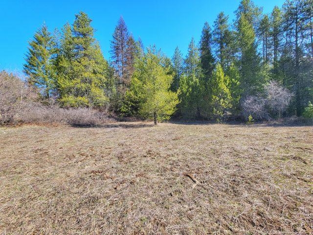 Xxxx Aladdin Road Colville, WA 99114 - Photo 5 of 9 Gallery Image 5