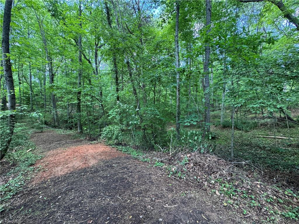 5504 Folkstone Road Pfafftown, NC 27040 - Photo 8 of 12 View from wooded area
