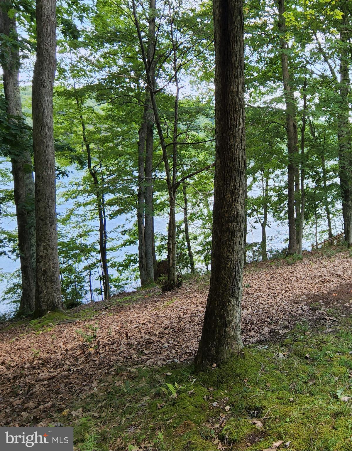 Sandy Beach Lane Oakland, MD 21550 - Photo 4 of 10