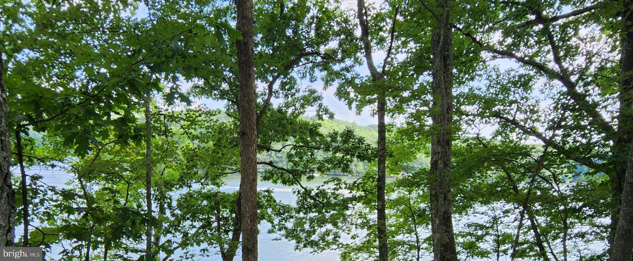 Sandy Beach Lane Oakland, MD 21550 - Photo 5 of 10