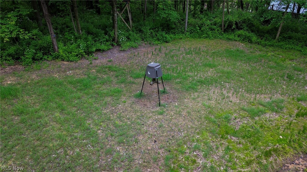 5309 Cherry Run Road Northwest Strasburg, OH 44680 - Photo 11 of 49
