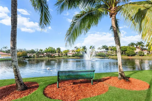 a view of a lake with a palm trees