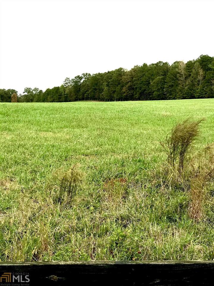 0 Elders Mill Road, Unit 19 Senoia, GA 30276 - Photo 1 of 1 Gallery Image 1