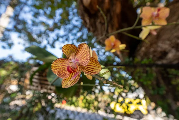 $849,000 | 154 Cutthroat Drive, Cudjoe, FL 33042