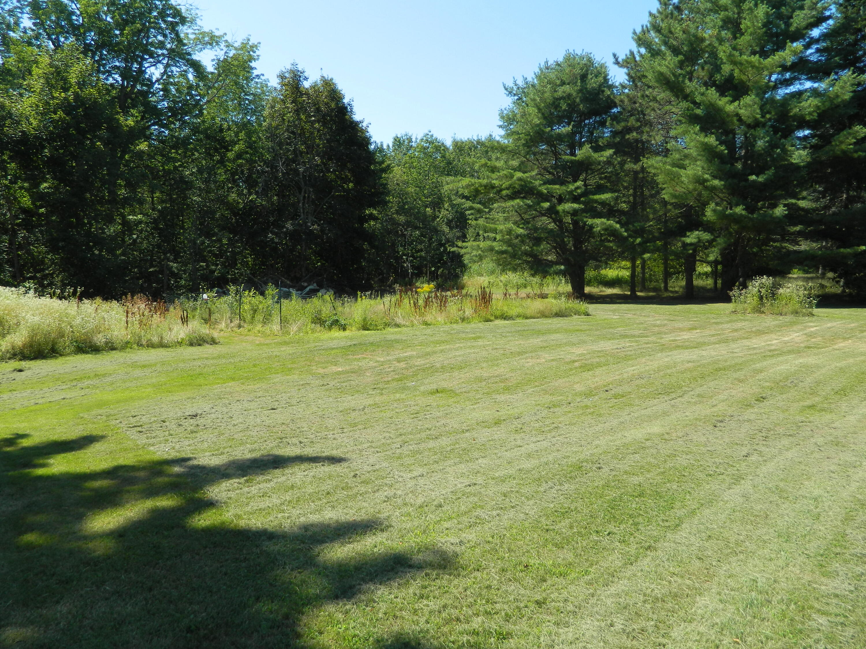 410 River Road Bucksport, ME 04416 - Photo 6 of 39 DSCN1203