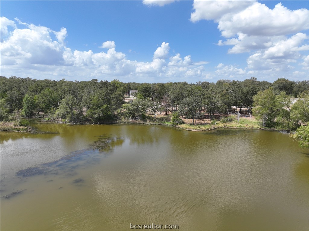 100 Hill Loop Road Somerville, TX 77879 - Photo 4 of 20 Gallery Image 4