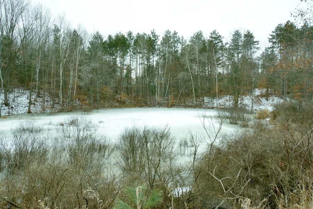 10295 West Remus Road Remus, MI 49340 - Photo 43 of 47 1870727-42.JPG