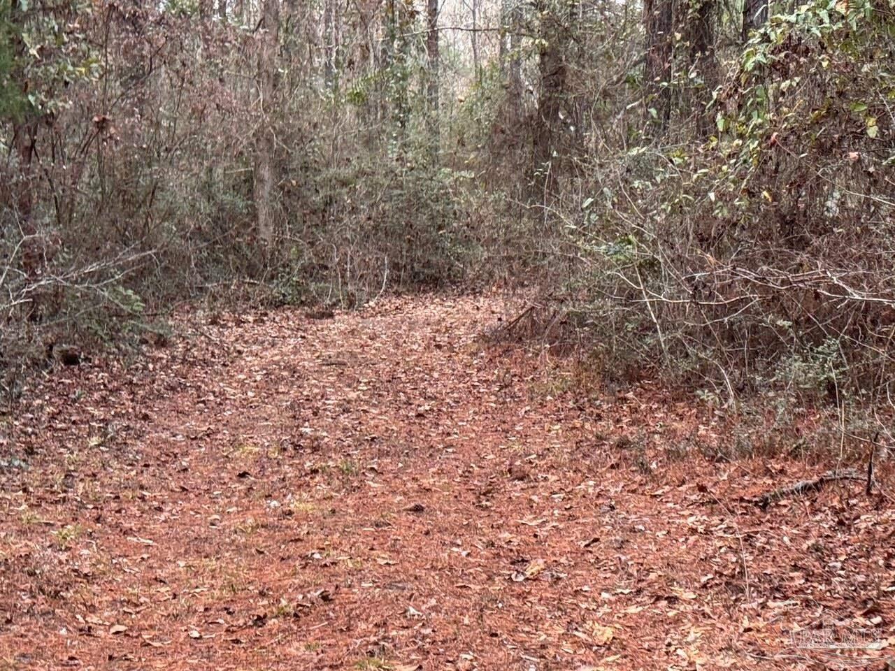 5580 John Lowery Road Jay, FL 32565 - Photo 25 of 28 Gallery Image 25