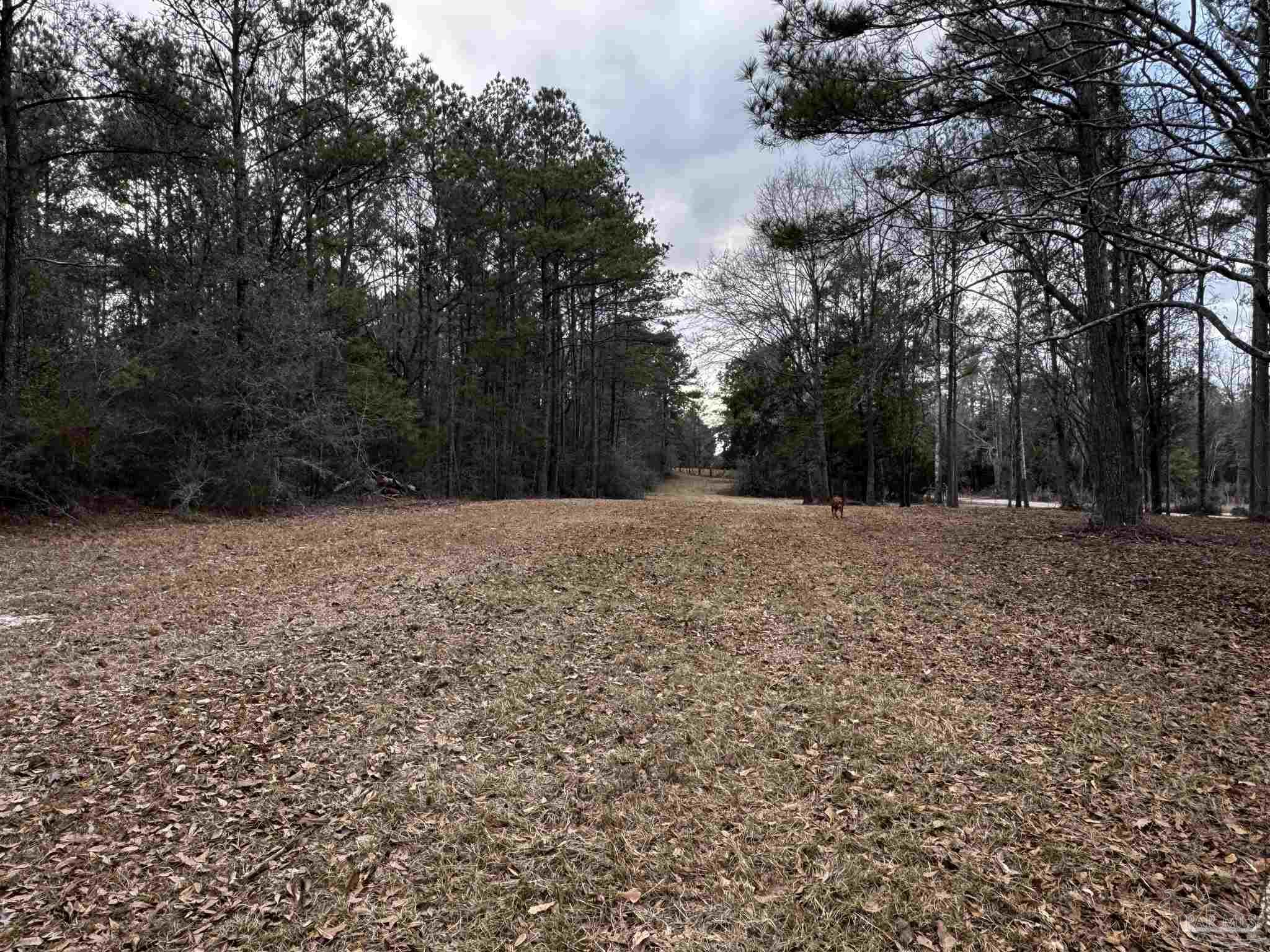 5580 John Lowery Road Jay, FL 32565 - Photo 27 of 28 Gallery Image 27
