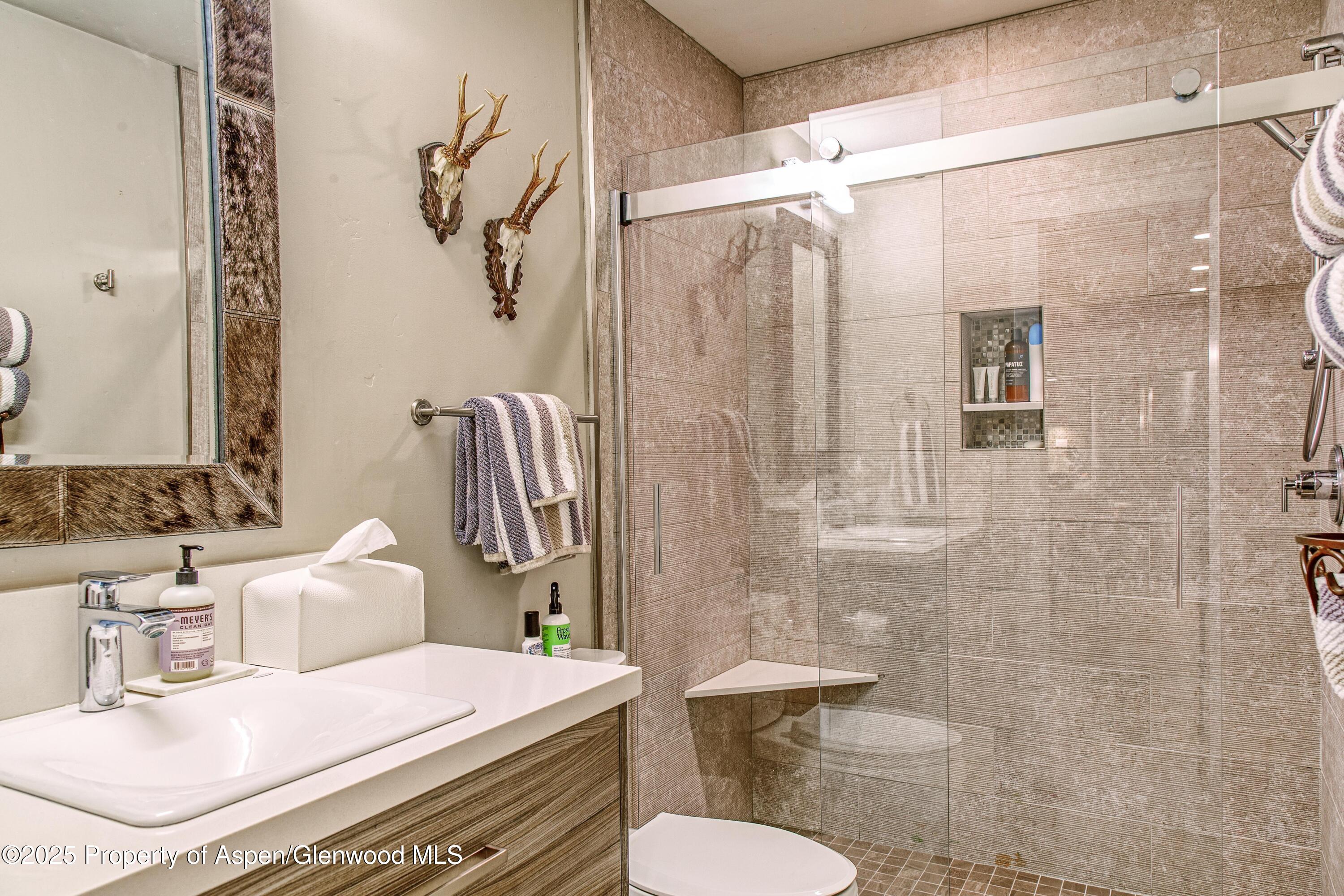 52 Harleston Green, Unit 38 Snowmass Village, CO 81615 - Photo 31 of 40 a bathroom with a sink toilet and shower