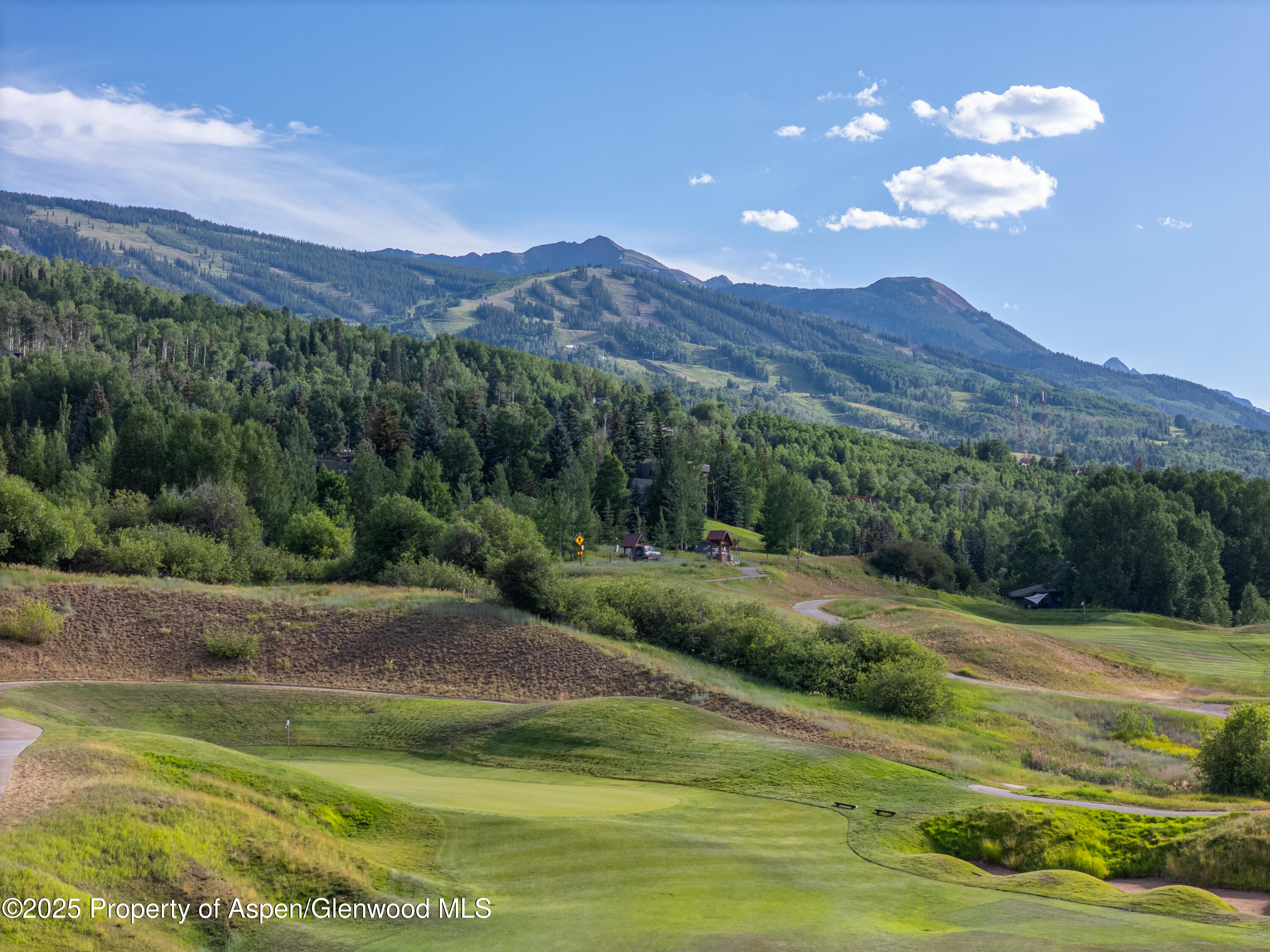 52 Harleston Green, Unit 38 Snowmass Village, CO 81615 - Photo 40 of 40 a view of a lush green hillside and a houses