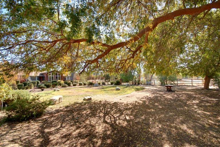 198 Riverside Road Oak View, CA 93022 - Photo 1 of 24 a view of large trees with yard