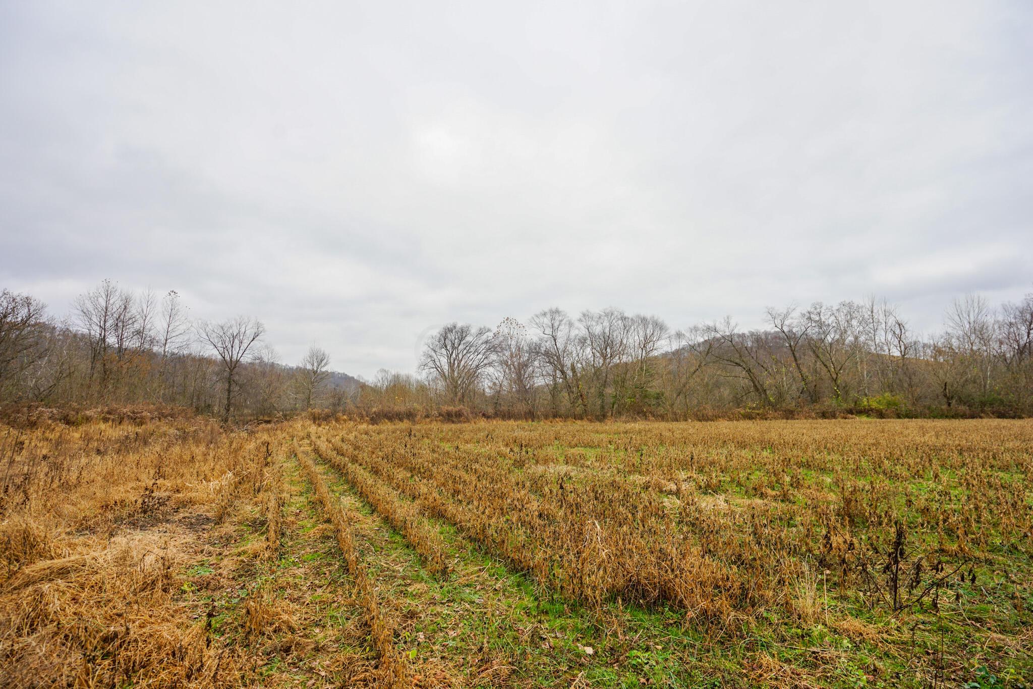 0 Thompson Road Ray, OH 45672 - Photo 21 of 27 DSC09702