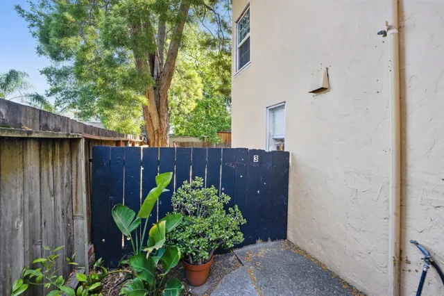 a view of a plants with a fence