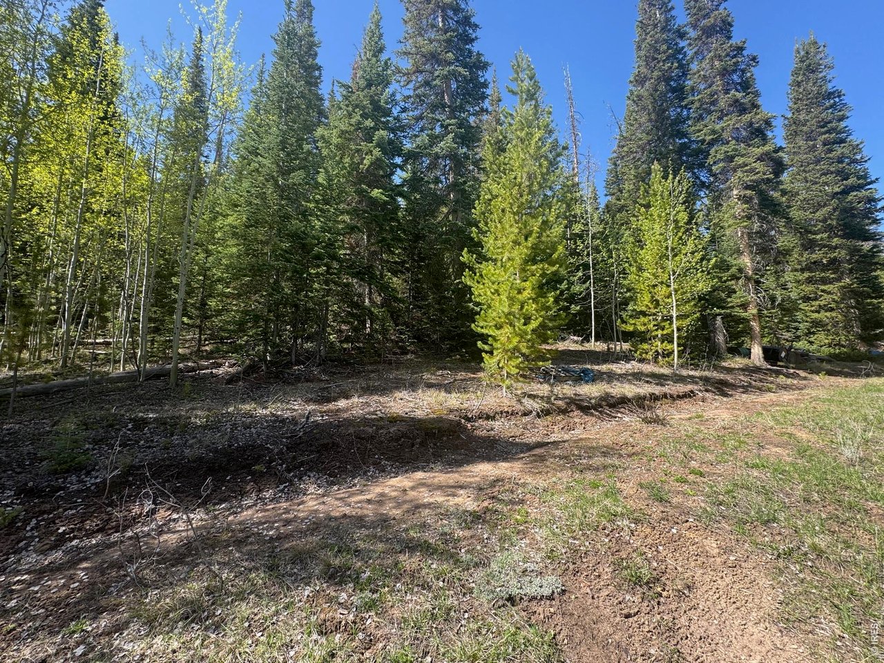 44 Wilderness Road Walden, CO 80430 - Photo 1 of 8 a view of outdoor space and yard