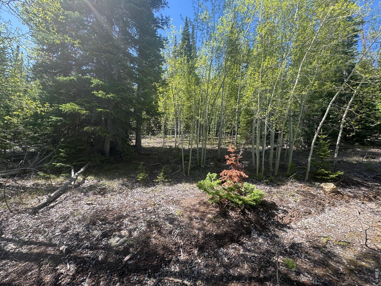 44 Wilderness Road Walden, CO 80430 - Photo 3 of 8 a backyard of a house with lots of green space
