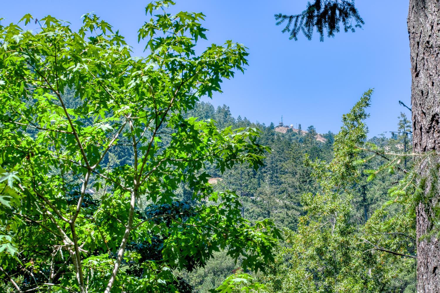15 Mountain View Road Forest Knolls, CA 94933 - Photo 28 of 48 Telephoto view to the peak of Mount Barnabe fire lookout tower and state-of-the-art weather radar station