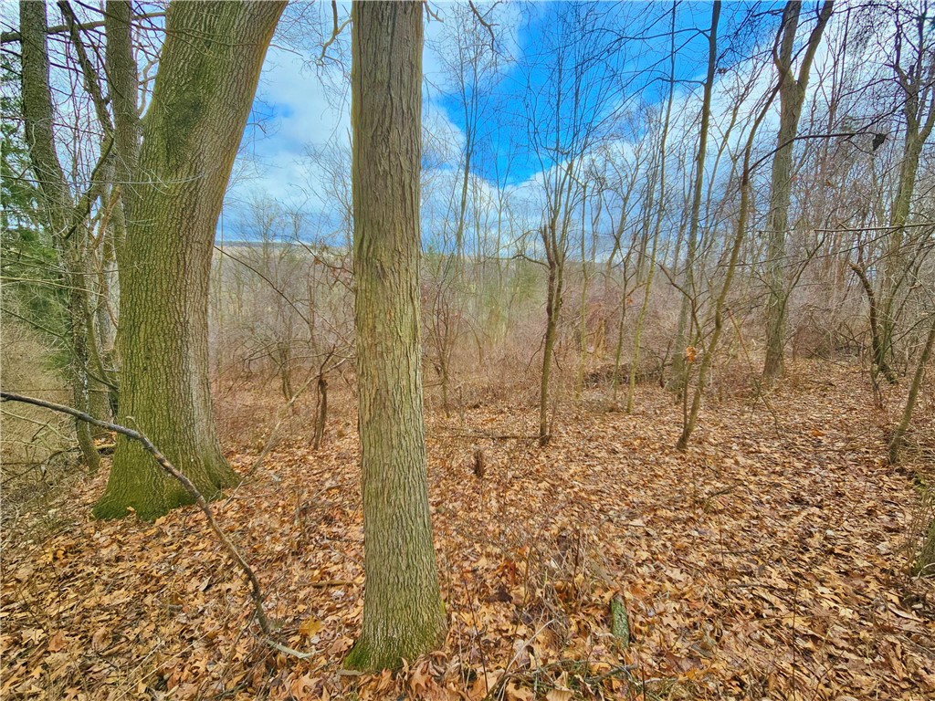 2130 Guyanoga Road Jerusalem, NY 14527 - Photo 15 of 26