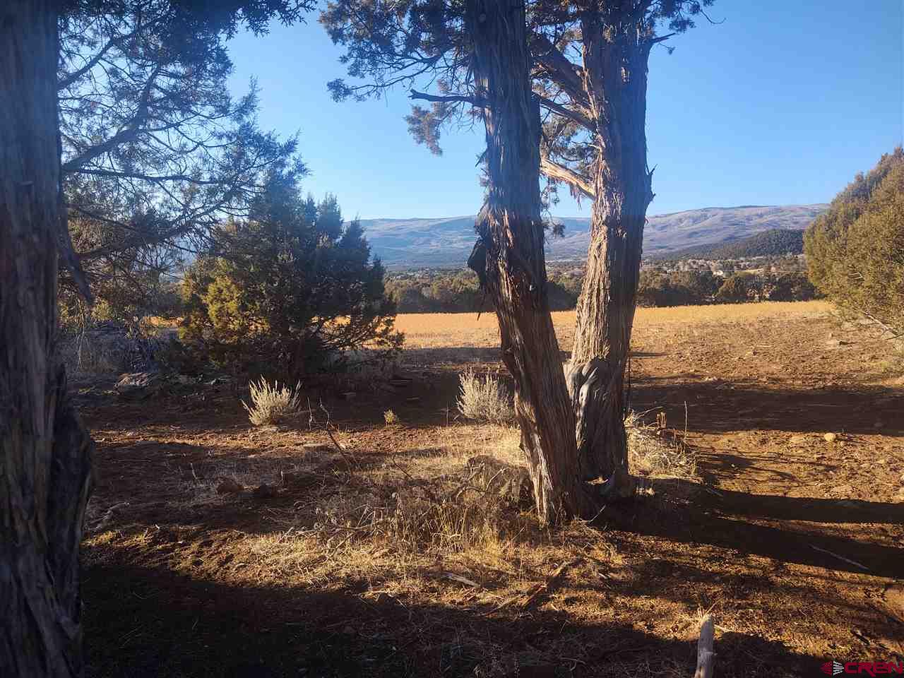 Tbd Tbd 2375th Road Cedaredge, CO 81413 - Photo 1 of 1