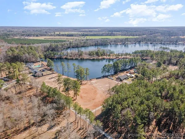 a view of a lake with a city