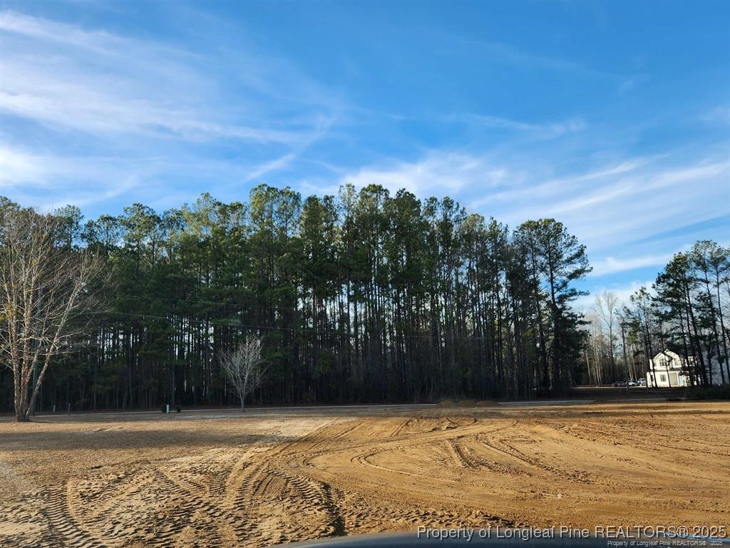 7874 Jill Street Linden, NC 28356 - Photo 3 of 5 a view of basketball court