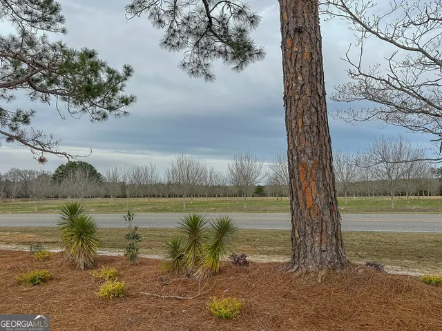 $422,500 | 895 Cannonville Road, Abbeville, GA 31001