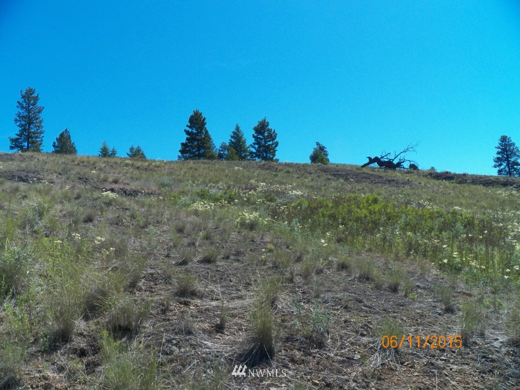 3 Barrett Creek Road Republic, WA 99166 - Photo 2 of 15
